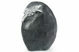Polished Free-Standing Chrysanthemum Stone - China #352124-1